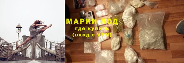 spice Аркадак