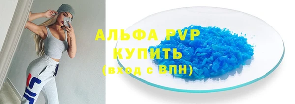 spice Аркадак