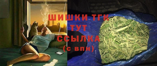 spice Аркадак