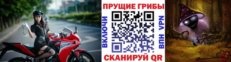 Псилоцибиновые грибы мицелий  нарко площадка телеграм  Олонец  сколько стоит 